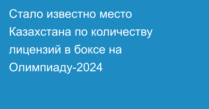 Стало известно место Казахстана по количеству лицензий в боксе на Олимпиаду-2024