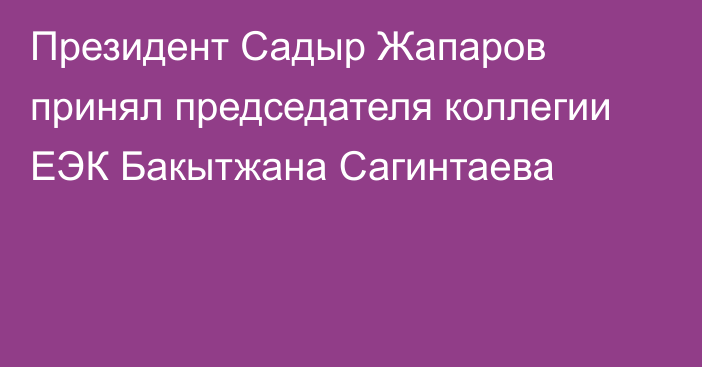 Президент Садыр Жапаров принял председателя коллегии ЕЭК Бакытжана Сагинтаева