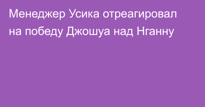 Менеджер Усика отреагировал на победу Джошуа над Нганну