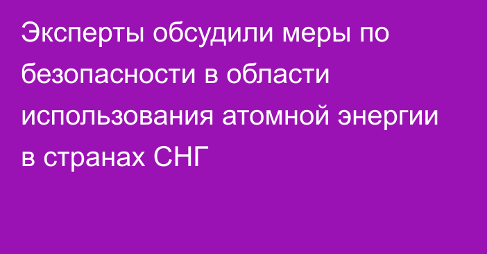 Эксперты обсудили меры по безопасности в области использования атомной энергии в странах СНГ