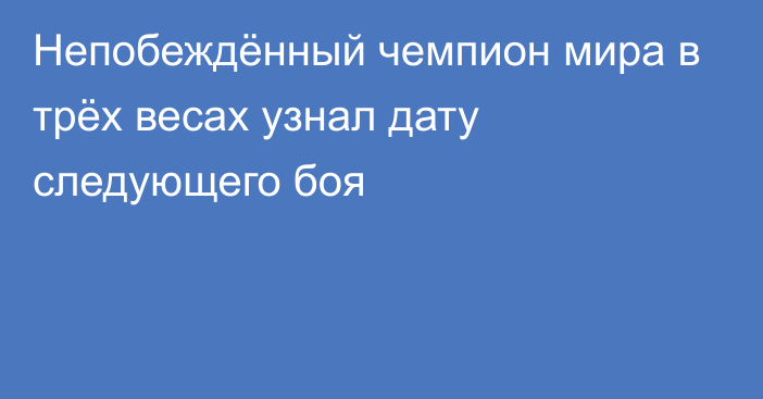 Непобеждённый чемпион мира в трёх весах узнал дату следующего боя