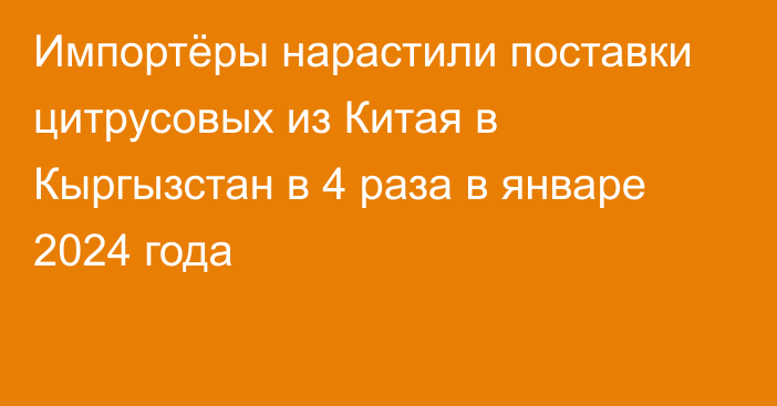 Импортёры нарастили поставки цитрусовых из Китая в Кыргызстан в 4 раза в январе 2024 года