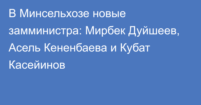 В Минсельхозе новые замминистра: Мирбек Дуйшеев, Асель Кененбаева и Кубат Касейинов