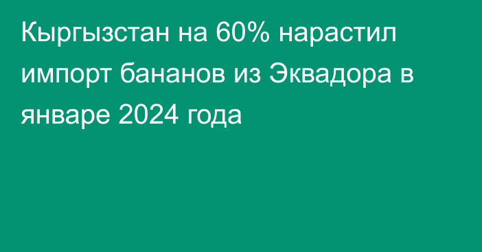 Кыргызстан на 60% нарастил импорт бананов из Эквадора в январе 2024 года