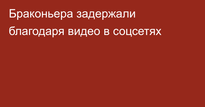 Браконьера задержали благодаря видео в соцсетях