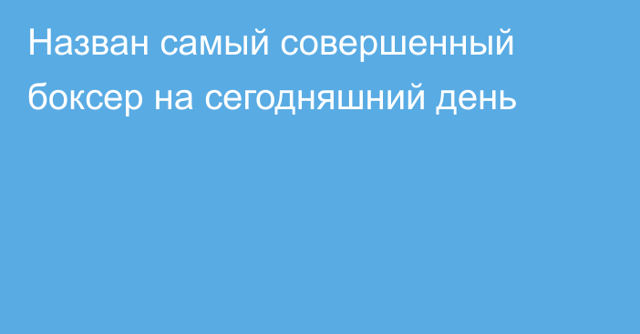 Назван самый совершенный боксер на сегодняшний день