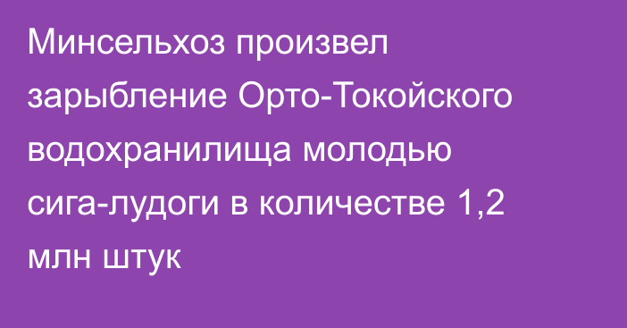 Минсельхоз произвел зарыбление Орто-Токойского водохранилища молодью сига-лудоги в количестве 1,2 млн штук