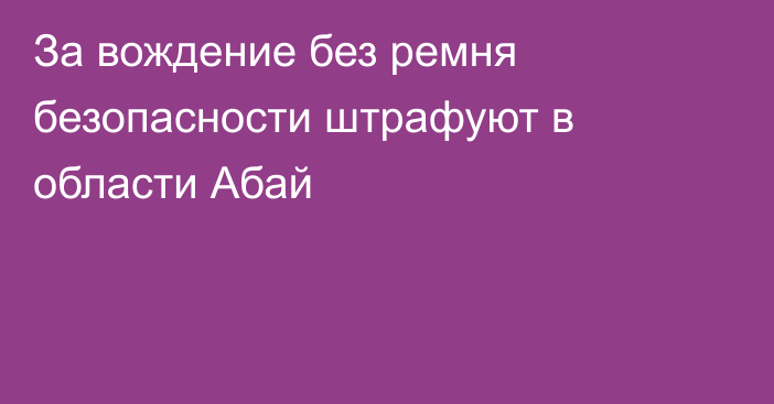 За вождение без ремня безопасности штрафуют в области Абай