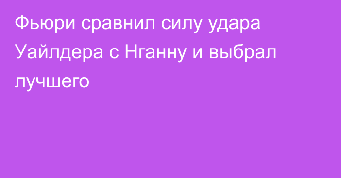 Фьюри сравнил силу удара Уайлдера с Нганну и выбрал лучшего