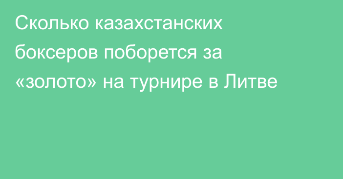 Сколько казахстанских боксеров поборется за «золото» на турнире в Литве