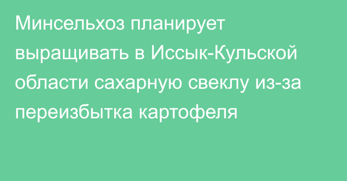 Минсельхоз планирует выращивать в Иссык-Кульской области сахарную свеклу из-за переизбытка картофеля