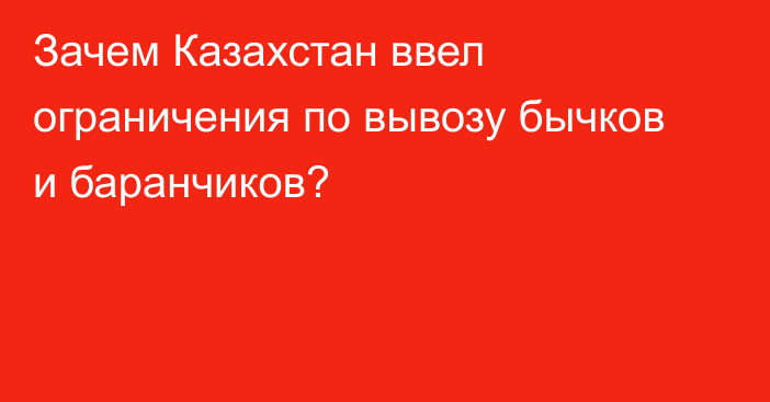 Зачем Казахстан ввел ограничения по вывозу бычков и баранчиков?