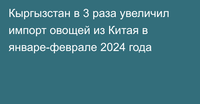 Кыргызстан в 3 раза увеличил импорт овощей из Китая в январе-феврале 2024 года