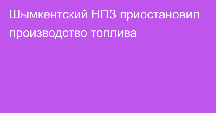 Шымкентский НПЗ приостановил производство топлива