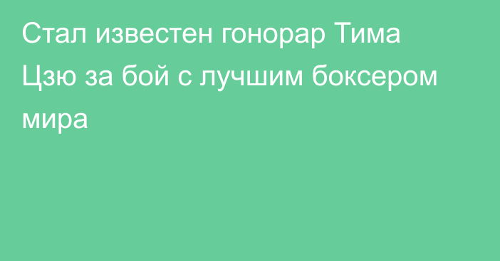 Стал известен гонорар Тима Цзю за бой с лучшим боксером мира