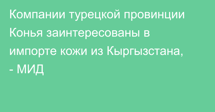 Компании турецкой провинции Конья заинтересованы в импорте кожи из Кыргызстана, - МИД