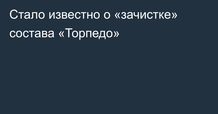 Стало известно о «зачистке» состава «Торпедо»