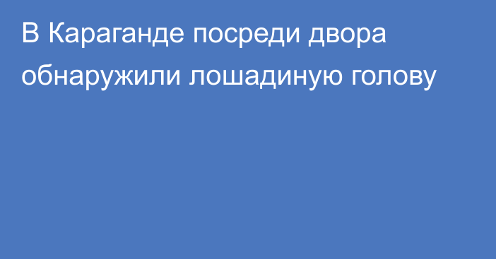 В Караганде посреди двора обнаружили лошадиную голову