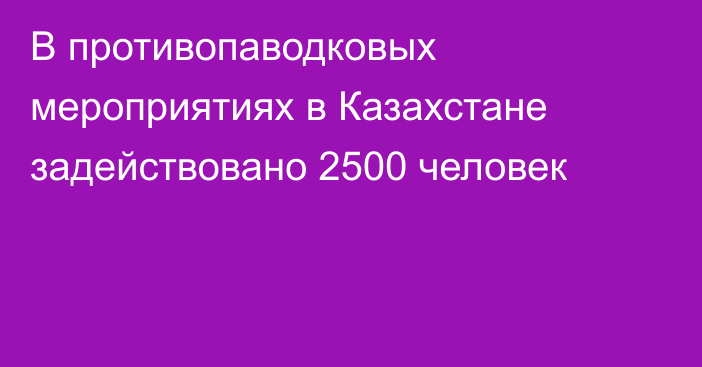 В противопаводковых мероприятиях в Казахстане задействовано 2500 человек