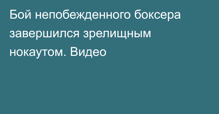 Бой непобежденного боксера завершился зрелищным нокаутом. Видео