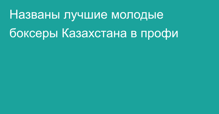 Названы лучшие молодые боксеры Казахстана в профи