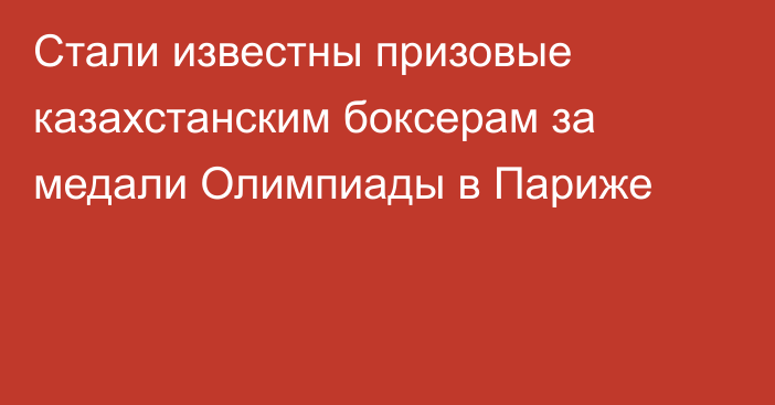 Стали известны призовые казахстанским боксерам за медали Олимпиады в Париже