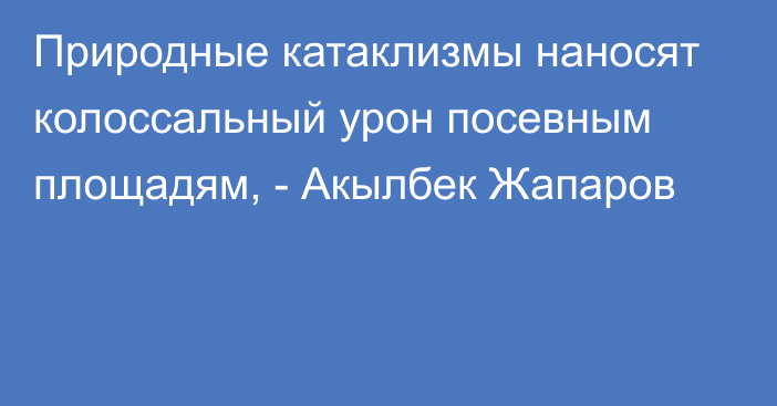 Природные катаклизмы наносят колоссальный урон посевным площадям, - Акылбек Жапаров