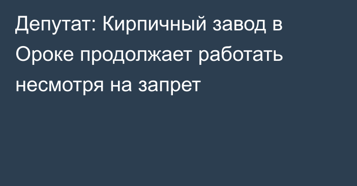 Депутат: Кирпичный завод в Ороке продолжает работать несмотря на запрет