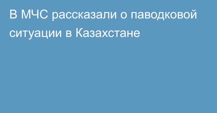 В МЧС рассказали о паводковой ситуации в Казахстане