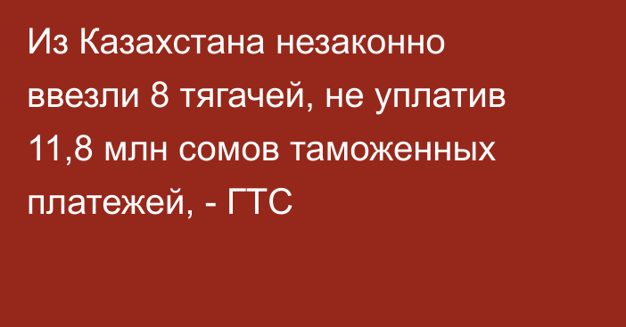 Из Казахстана незаконно ввезли 8 тягачей, не уплатив 11,8 млн сомов таможенных платежей, - ГТС