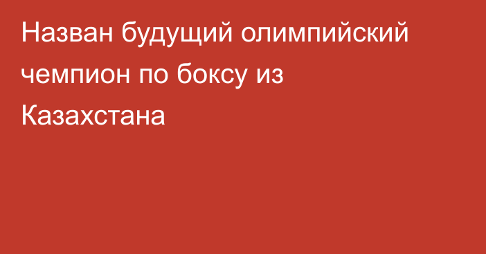 Назван будущий олимпийский чемпион по боксу из Казахстана