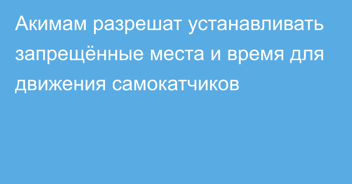 Акимам разрешат устанавливать запрещённые места и время для движения самокатчиков