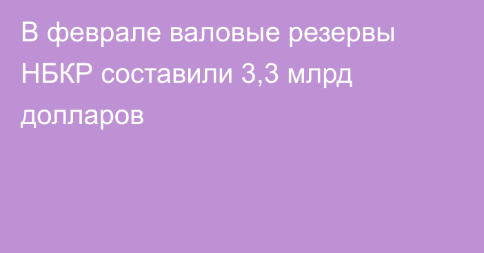 В феврале валовые резервы НБКР составили 3,3 млрд долларов