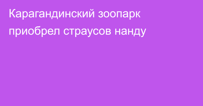 Карагандинский зоопарк приобрел страусов нанду