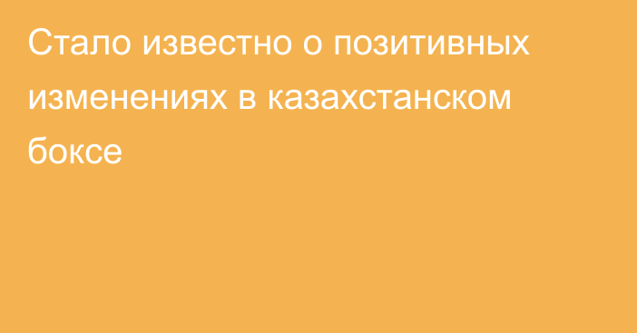 Стало известно о позитивных изменениях в казахстанском боксе