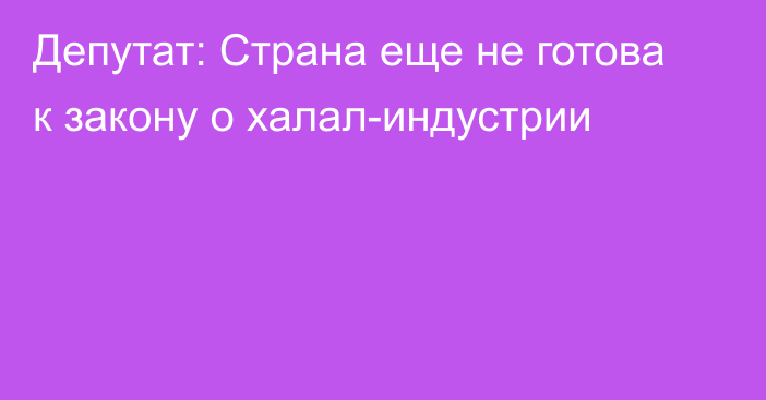 Депутат: Страна еще не готова к закону о халал-индустрии