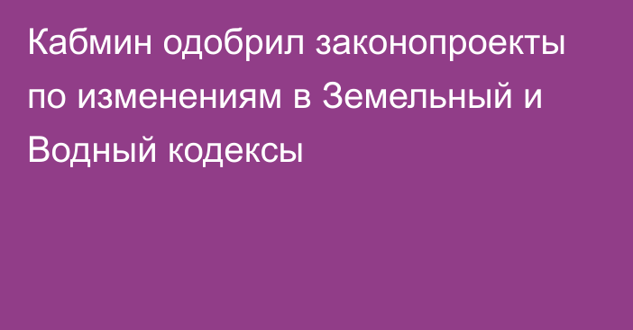 Кабмин одобрил законопроекты по изменениям в Земельный и Водный кодексы