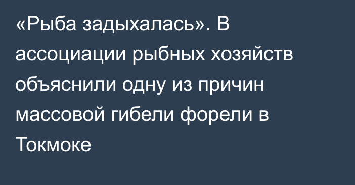 «Рыба задыхалась». В ассоциации рыбных хозяйств объяснили одну из причин массовой гибели форели в Токмоке