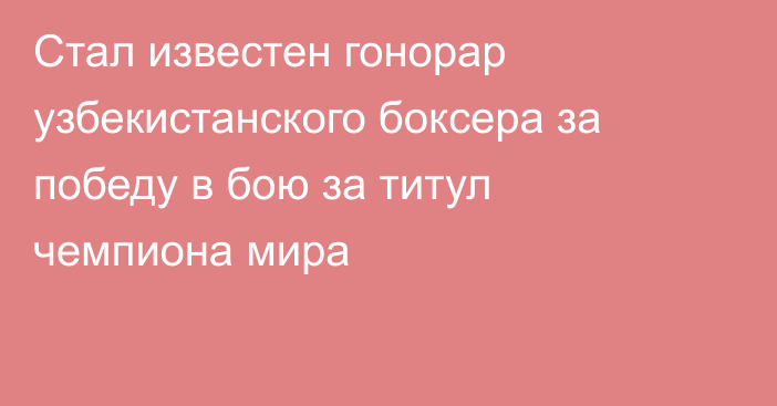 Стал известен гонорар узбекистанского боксера за победу в бою за титул чемпиона мира