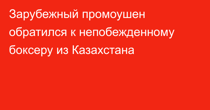 Зарубежный промоушен обратился к непобежденному боксеру из Казахстана