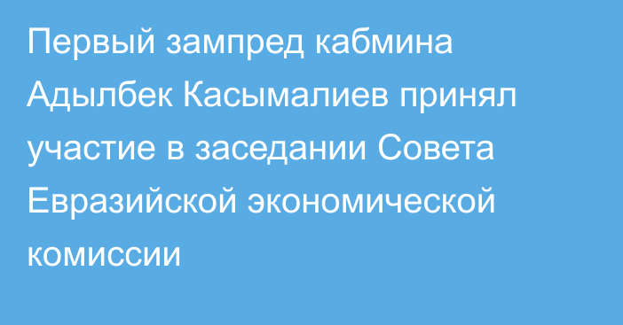 Первый зампред кабмина Адылбек Касымалиев принял участие в заседании Совета Евразийской экономической комиссии