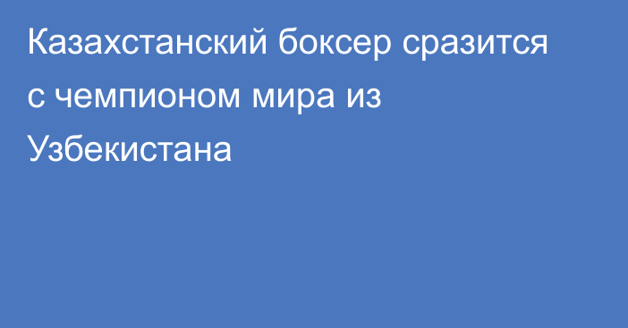 Казахстанский боксер сразится с чемпионом мира из Узбекистана