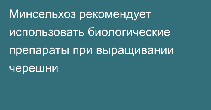 Минсельхоз рекомендует использовать биологические препараты при выращивании черешни