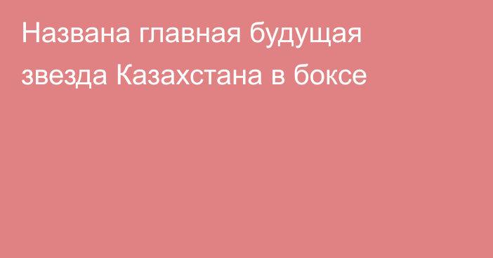 Названа главная будущая звезда Казахстана в боксе