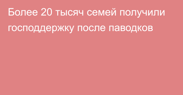 Более 20 тысяч семей получили господдержку после паводков