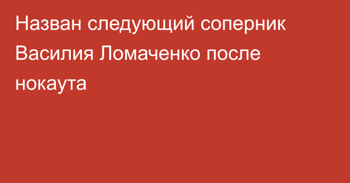 Назван следующий соперник Василия Ломаченко после нокаута