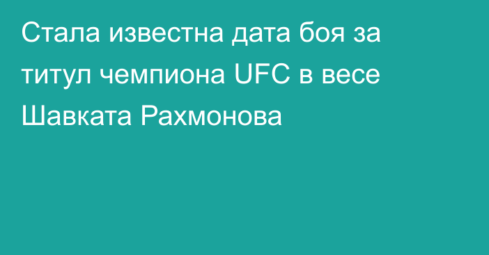 Стала известна дата боя за титул чемпиона UFC в весе Шавката Рахмонова