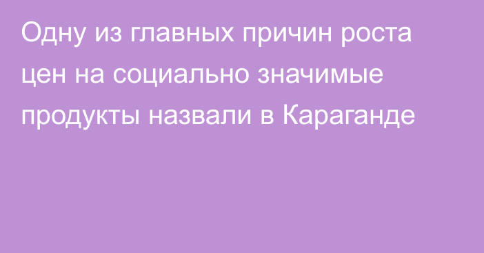 Одну из главных причин роста цен на социально значимые продукты назвали в Караганде