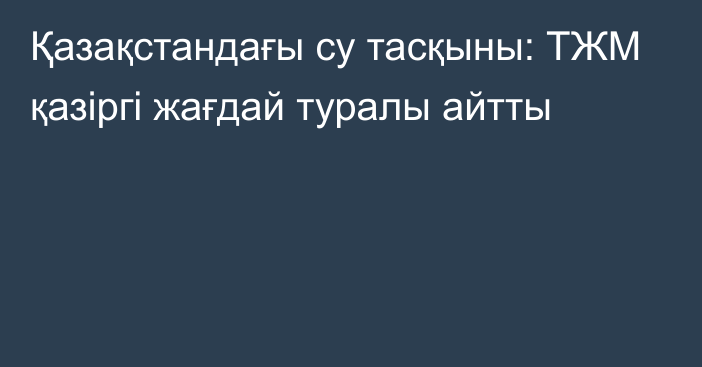 Қазақстандағы су тасқыны: ТЖМ қазіргі жағдай туралы айтты