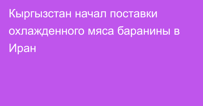 Кыргызстан начал поставки охлажденного мяса баранины в Иран